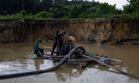 golden souvenir results|August federal raids at Yanomami lands result in 38 arrests.